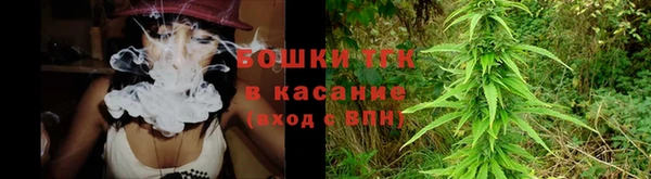 СК Новодвинск