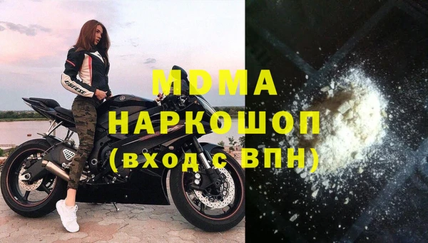 гашик Новозыбков