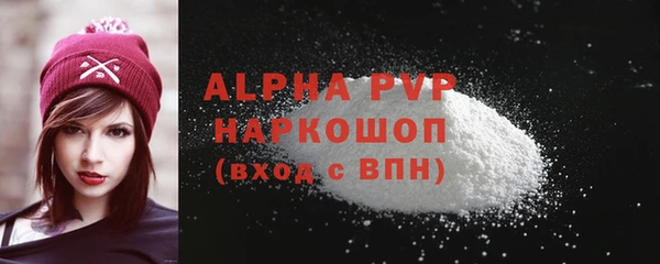 СК Новодвинск