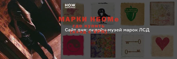 СК Новодвинск