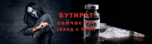 СК Новодвинск