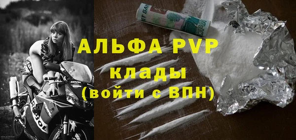 гашик Новозыбков