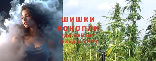 гашик Новозыбков