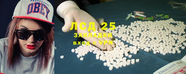 СК Новодвинск