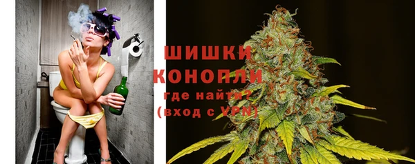СК Новодвинск