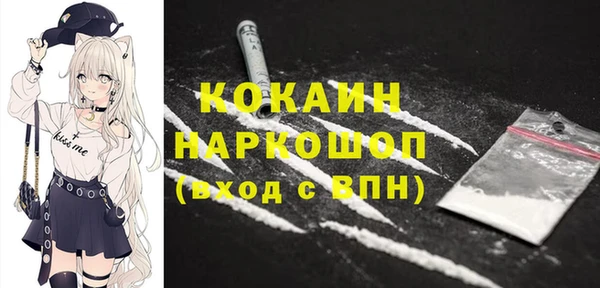 СК Новодвинск