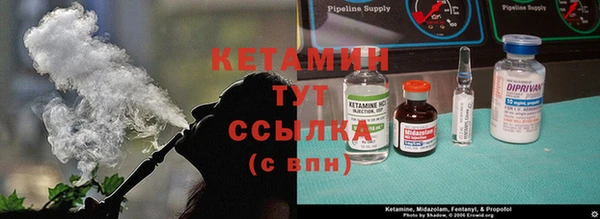 гашик Новозыбков