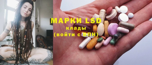 гашик Новозыбков